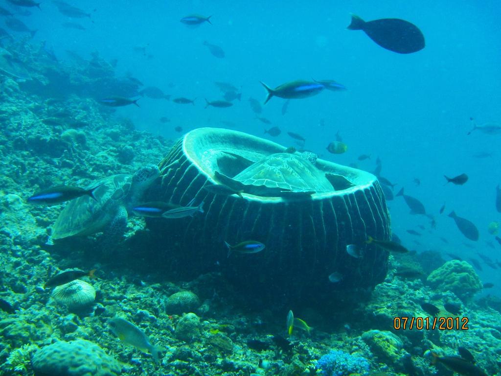 Mahogany Cottage Gili Meno Bagian luar foto