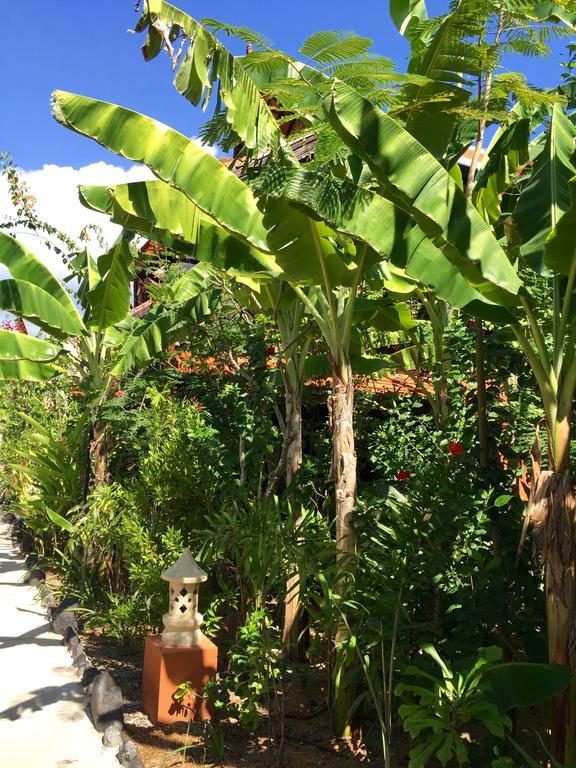 Mahogany Cottage Gili Meno Bagian luar foto