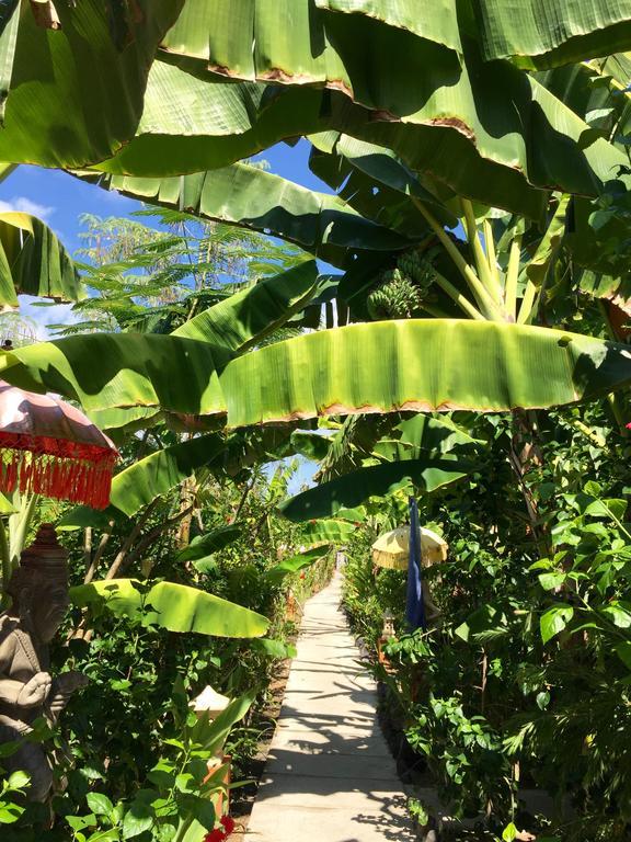 Mahogany Cottage Gili Meno Bagian luar foto